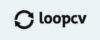 Loopcv logo